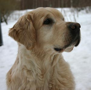 Huhtikuu 2006 © Piia Simonen