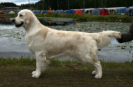 "Lisa" ROP Sawo Show 2008 kuva: Jonna Nyman