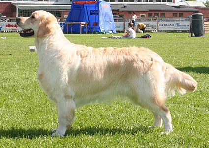 kuva: Margot & Dan Vikström